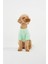 Mint Rengi Köpek T-Shirt 3