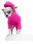 Loves It Pembe Köpek Süveter ve Şapka 3