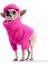 Loves It Pembe Köpek Süveter ve Şapka 5