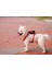 Bio-Based Kahverengi Köpek Tasma Seti 4