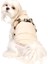 Cotton Touch Harness Jumper Bej Köpek Montu 3