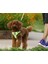 Oxford Kumaşlı Sarı Mesh Köpek Göğüs Tasması 4