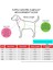 Everson Dog Jumpsuit Siyah Tasmalı Köpek Tulumu 5