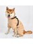 Ultra Light Soft Onesie Bej Tasmalı Köpek Tulumu 2