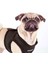 Soft Vest Kahverengi Air-Mesh Köpek Göğüs Tasması 3