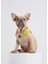 Tartan Gri Köpek Göğüs Tasması 5