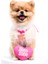 Boss Babe Pembe Köpek Kolye 3