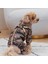 Bylur Jumpsuit Bej Tasmalı Köpek Tulumu 4