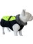Neon Sarı Su Geçirmez Içi Polarlı Köpek Kıyafeti 2