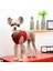 Soft Vest Wine Kırmızı Köpek Göğüs Tasması 3