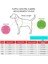 Stratus Dog Jumper Siyah Tasmalı Köpek Montu 5