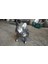 Metal French Bulldog Heykeli 1