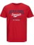Logo Tee Ss O-Neck 2 Col Erkek Kırmızı Tshirt 12210819-17 1
