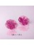 - Blossom Pink Kadın Küpe 3
