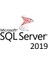 Sql Server 2019 Standard Dijital Lisans 1