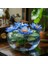 10 Adet Mavi Kase Lotus Çiçeği Tohumu Lotus Çiçeği Tohumu 2