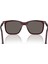 Po 3357S 1216B1 53 Persol Renzo Güneş Gözlüğü 3