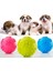 Köpek Isırma Topu Pati Desenli 1291 1