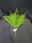 Phoenix Grass Bush 14INCH Green Yapay Çiçek Yeşil Yapraklı 1 Adet 1