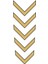 Agk Cg Gold Çamurluk Üst Sticker 1