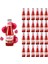 Maden Suyu Doğal Nar Aromalı 200 ml x 24 Adet 1