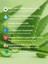 Aloe Vera Yüz Maskesi – Yoğun Nem & Ferahlık 3