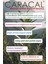 Rosemary Complex Kepek ve Yağlanma Karşıtı Saç Bakım 100 ml Biberiye Suyu 2