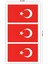 Türk Bayrağı Geçici Dövme 3'lü Dövme Seti 2