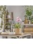 Yapay Bitki, Pembe, 12 Cm, Noble Dendrobium Pembe 2