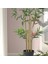 Yapay Bitki, Yeşil, 23 Cm, Bambu, Iç/dış Mekan 6
