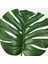 Yapay Bitki, Yeşil, 19 Cm, Monstera 6