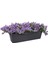 Elho Green Basics Balkon Saksısı Siyah 40 cm 2