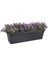 Elho Green Basics Balkon Saksısı Siyah 40 cm 5