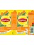 Ice Tea Şeftali Kutu 250 ml 2