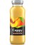 Şeftali Nektarı Cam 250 ml 2