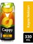 Kayısı Kutu 330 ml 1