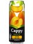 Kayısı Kutu 330 ml 2