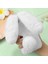 Kılıf 400 Pro Sonbahar ve Kış Güzel Plushrabbit Tavşan (Yurt Dışından) 4