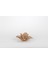 Somon Çiçek Cam Dekoratif 16X7CM 1