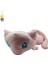 Uyku Serisi Oyuncak Bebek Uyku Pozisyonu Jenny Kaplumbağa Bulbasaur Tohumu Rüya Ulaşılabilir Ördek Peluş Yastık (Yurt Dışından) 1