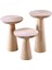 Mushroom 3'lü Zigon Sehpa 7