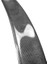 Mercedes-Benz Cla Amg Spoiler 3