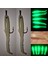Iğneli Silikon Balık Fosforlu Glow Luminous Karanlıkta Parlayan Iğneli Yapay Yem 5 cm 2 Adet 2
