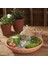 Fairy Garden Peri Bahçesi 2