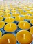 (12 Adet) Tealight Doğal Petek Balmumu Mum Standart Boy Beeswax Candle 3