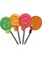 Flat Classic Lolipop 4 Adet 2