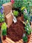 Hindistan Cevizi Torfu Cocopeat Tuğla Blok 10 Litre 2
