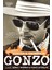 Gonzo : The Life Of Hunter S. Thompson 1