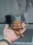 4'lü Eğlenceli Banyo Dekoratif Figür Seti /tuvalet Kağıdı, Çöp Kovası, Kaka Emojisi ,klozet Aksesuar 7