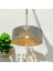 Tulipe Avize 2